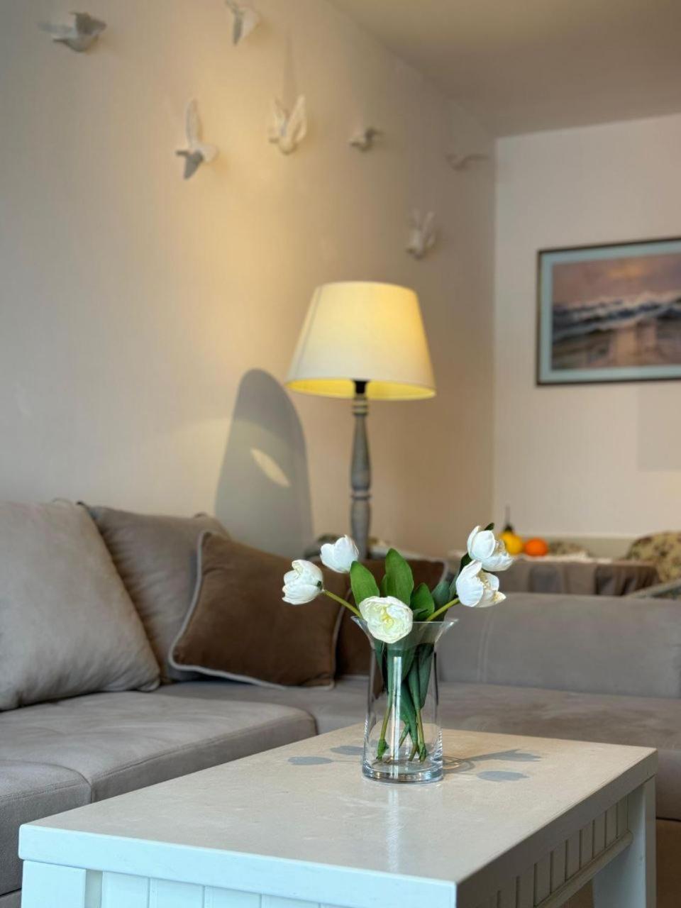 Vikka Boka Apartment Donja Kostanjica Екстериор снимка